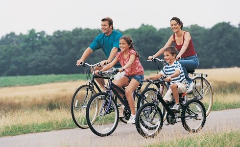 UTILIZZO DELLE BICICLETTE / GRATUITO  Art Hotel Orologio a Bologna