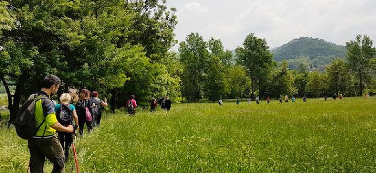 LE COLLINE FUORI DELLA PORTA 2019 LE COLLINE FUORI DELLA PORTA 2019