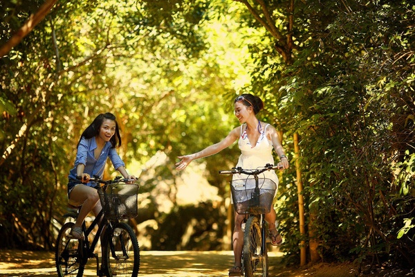 Utilizzo gratuito delle biciclette dell' Hotel Art Hotel Commercianti Bologna Utilizzo gratuito delle biciclette dell' Hotel Art Hotel Commercianti Bologna