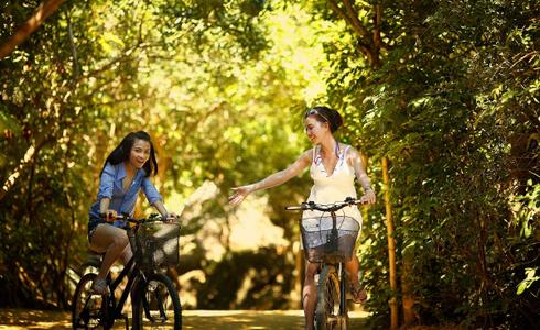 Utilizzo gratuito delle biciclette dell' Hotel Art Hotel Commercianti a Bologna Utilizzo gratuito delle biciclette dell' Hotel Art Hotel Commercianti a Bologna